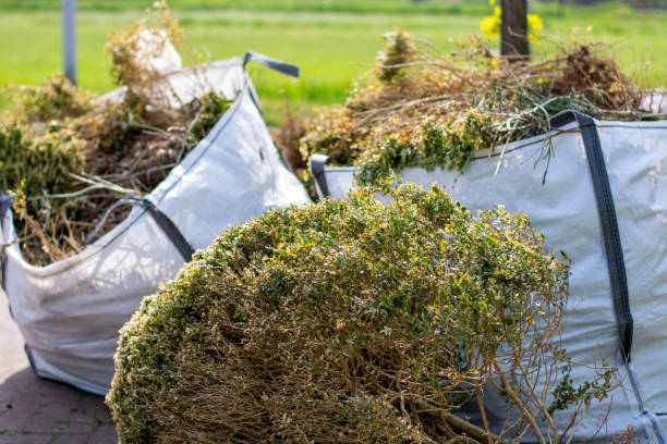 Best Local Junk Hauling  in Estes Park, CO